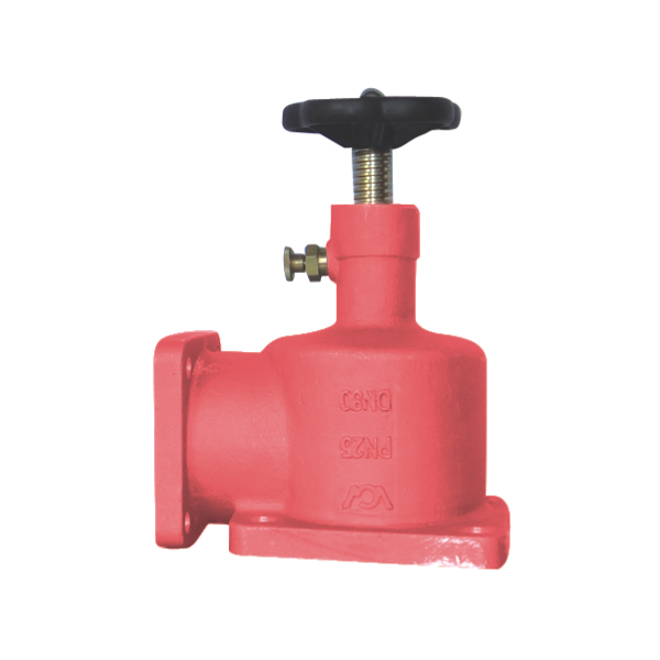 119J Series of globe valve